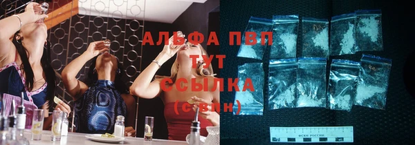 гашик Мегион