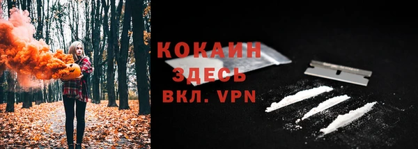 гашик Мегион