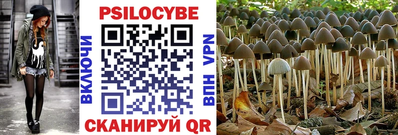 Псилоцибиновые грибы Psilocybe  Рязань 